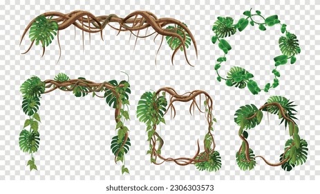 Branches tropical jungle frame set with transparent background and isolated images of exotic leaves tree trunks vector illustration