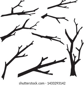 branches from the unknown tree looks good for ornaments