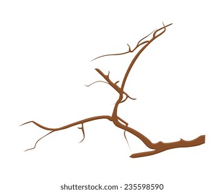 Branches Vector