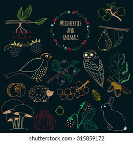 Branches wild berries, fruits and animals. Set for design