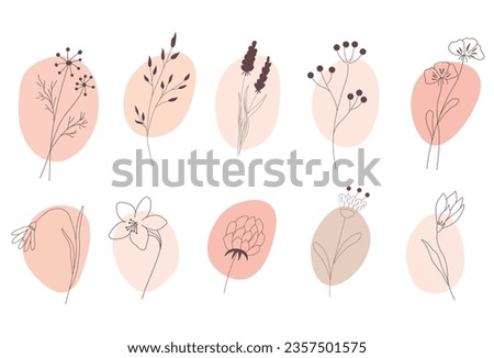 Branches of wild flowers. Vector illustration. In delicate cream pink flowers. Highlight Story Natural Hand Drawn Floral Logo.Isolated on a white background.