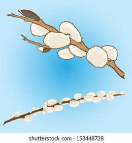 Branches of a willow on blue background: small and big