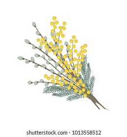 Branches of willows and mimosa on a white background. Spring flowers. It can be used as an design element in projects and compositions. Vector illustration