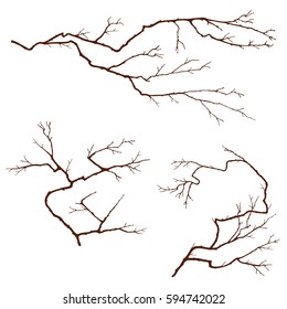 Branches without leaves.Curved silhouettes of the trees. Isolated background.