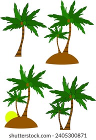 Branching coconut trees on the beach