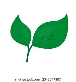 branching leaf vector. fresh leaf shoots