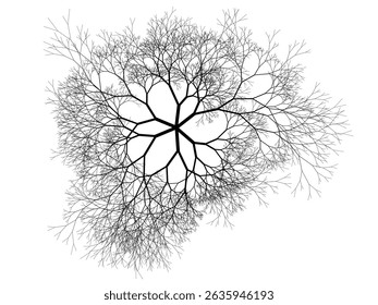 Rede ramificada ou árvore vista acima. Projeto algorítmico fractal binário.