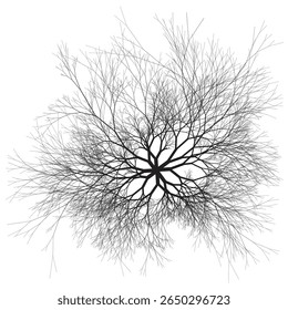 Branching network or tree viewed from above. Binary fractal algorithmic design.