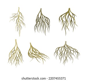 Branching Root as Tree Part Below the Surface of Soil Vector Set