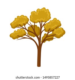 Branchy autumn tree. Vector illustration on a white background.