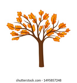 Branchy autumn tree. Vector illustration on a white background.