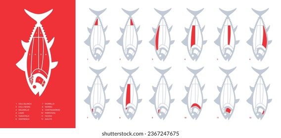 Brand new Red Tuna Cuts diagram (ronqueo). Parts of tuna written in Spanish. 