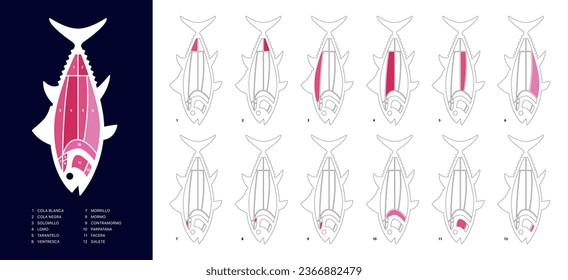 Brand new Tuna Cuts diagram (ronqueo). Parts of tuna written in Spanish. 