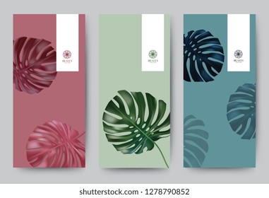 Branding Packageing leaf nature background, logo banner voucher, spring summer tropical, vector illustration