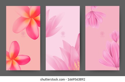 Branding Packageing Pink Soft blossom Flower nature background, logo banner voucher, spring summer tropical, vector illustration