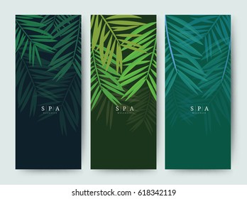 Branding Packaging coconut tree leaf nature background, logo banner voucher, spring summer tropical, vector illustration