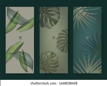 Branding Packaging leaf nature background, logo banner voucher, spring summer tropical, vector illustration