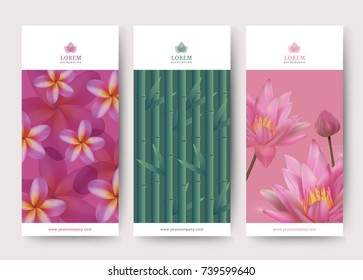 Branding Packaging lotus and frangipani flower and bamboo tree abstract background, logo banner voucher, vector illustration