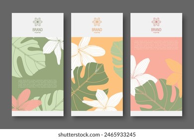 Branding packaging nature leaf background, voucher logo banner, spring summer tropical, vector illustration with monstera leaves.