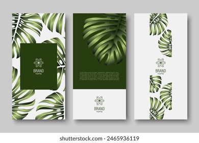 Branding packaging nature leaf background, voucher logo banner, spring summer, green luxury vector illustration with monstera leaves.