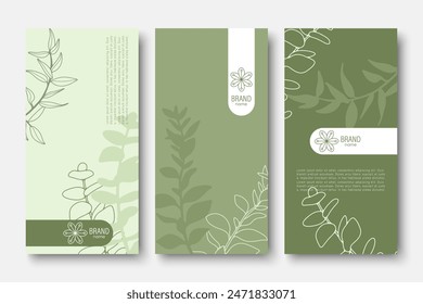 Branding packaging nature leaf background, voucher, logo, banner. Summer green vector illustration with eucaliptus.