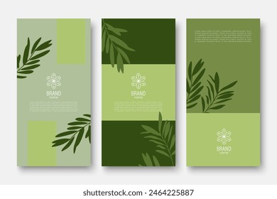 Branding packaging naturaleza hojas de fondo, voucher, logo, Anuncio, diseño de portada en colores verdes con ramas de olivo. Ilustración vectorial botánica de verano con ramas de olivo.