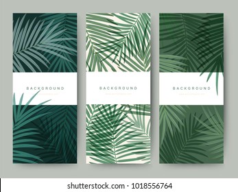 Branding Packaging palm coconut bamboo tree leaf nature background, logo banner voucher, spring summer tropical, vector illustration