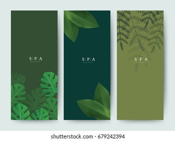 Branding Packaging palm Tropical tree leaf nature background, logo vertical banner voucher, spring summer, vector illustration