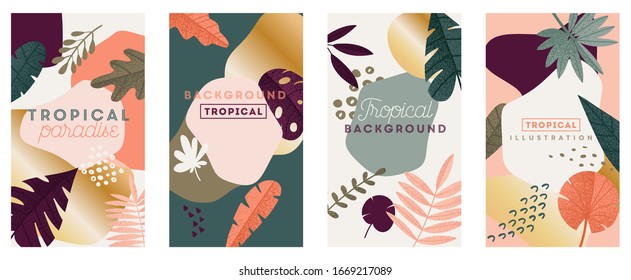 Branding packaging tropical  leaf summer background