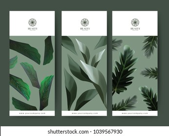 Branding Packaging tropical plant leaf summer pattern background, for spa resort luxury hotel, logo banner voucher, fabric pattern, organic texture. vector illustration.