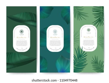 Branding Packaging tropical plant leaf summer pattern background, for spa resort luxury hotel, logo banner voucher, fabric pattern, organic texture. vector illustration.