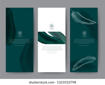 Branding Packaging tropical plant leaf summer pattern background, for spa resort luxury hotel, logo banner voucher, fabric pattern, organic texture. vector illustration.