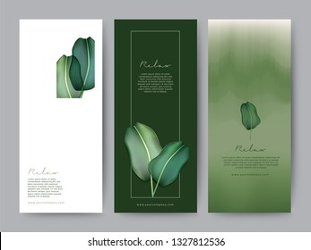 Branding Packaging tropical plant leaf summer pattern background, for spa resort luxury hotel, logo banner voucher, fabric pattern, organic texture. vector illustration.