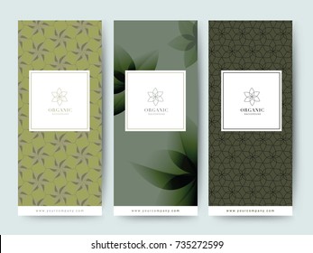 Branding Packaging tropical plant leaf summer pattern background, for spa resort luxury hotel, logo banner voucher, fabric pattern, organic texture. vector illustration.