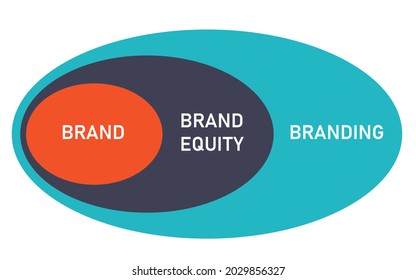 branding process which contains brand become brand equity then branding vector