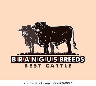 BRANGUS BREEDS LOGO, silhouette of cattle standing vector illustrations