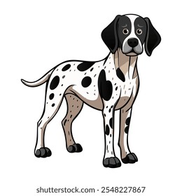 Braque d'Auvergne dog breed vector illustration isolated on white background in cartoon style.