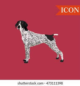 Braque dog illustration colorful french dog background 