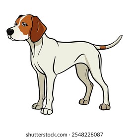 Braque Saint-Germain dog breed vector illustration isolated on white background in cartoon style.