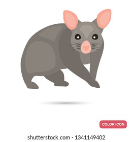 Brashtail possum color flat icon for web and mobile design