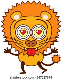 Brave lion with big mane, funny bulging eyes, sharp teeth and long tail while showing red hearts in its eyes, stretching its arms, sticking its tongue out and feeling madly in love