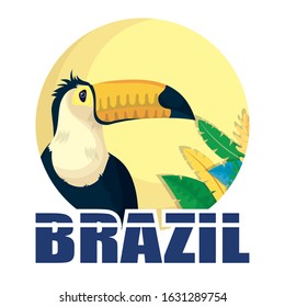 brazil carnival poster with lettering and toucan vector illustration design