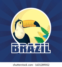 brazil carnival poster with tucan exotic bird vector illustration design