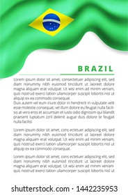 Brazil flag, vector illustration on a white background