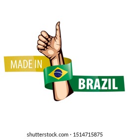 Brazil flag, vector illustration on a white background