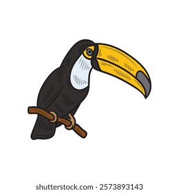 Brazil Hand Drawn Illustration Colored - Toucan