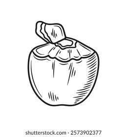 Brazil Hand Drawn Illustration Colorless - Coconut