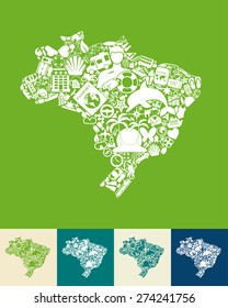 brazil icon