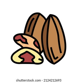 brazil nut color icon vector. brazil nut sign. isolated symbol illustration