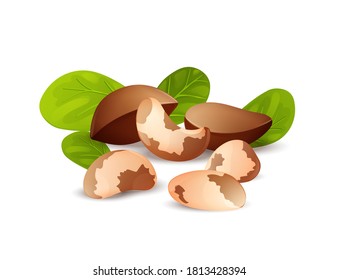 Brasilianische Nusszusammensetzung. Brazillianische Nuss, gesundes Essen. Ganze und geknackte Nüsse, geschälte und rohe Körner. Gut für Etiketten und Aufkleber, Verpackungsdesign. Vektorgrafik im Cartoon-Stil, Arbeitsgruppen